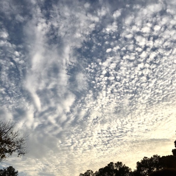 When Grief Shakes&nbsp;You